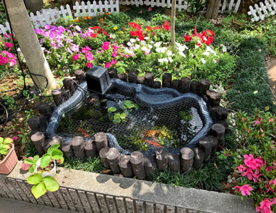 施設イメージ