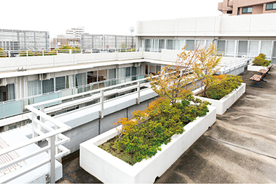 施設イメージ