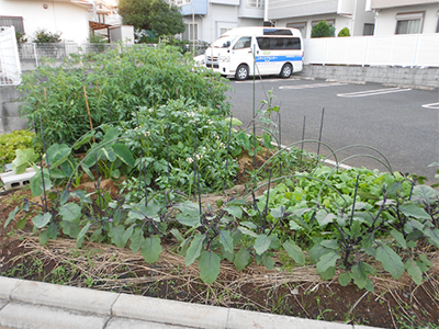 施設イメージ