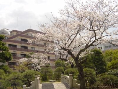 施設イメージ
